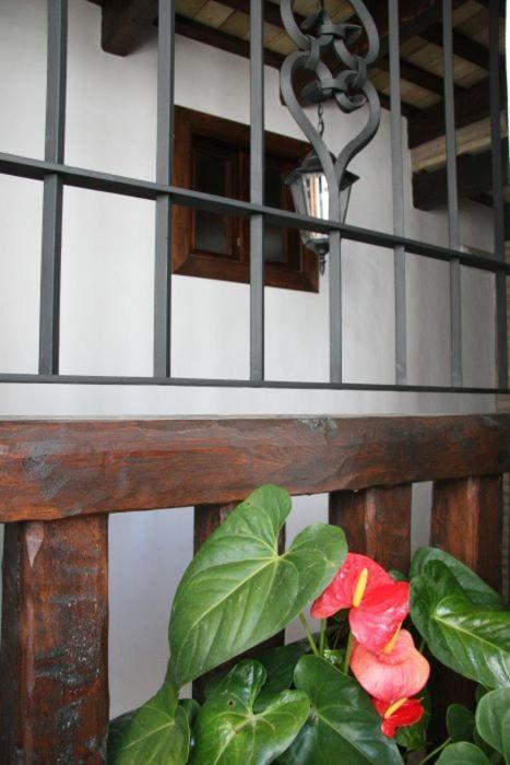Hostal Torre De Guzman Кониль-де-ла-Фронтера Экстерьер фото
