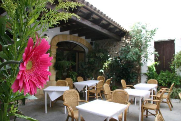 Hostal Torre De Guzman Кониль-де-ла-Фронтера Экстерьер фото